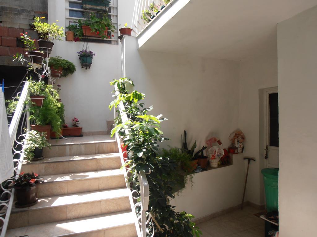 Apartmani Zeljko Vujovic Budva Exteriör bild