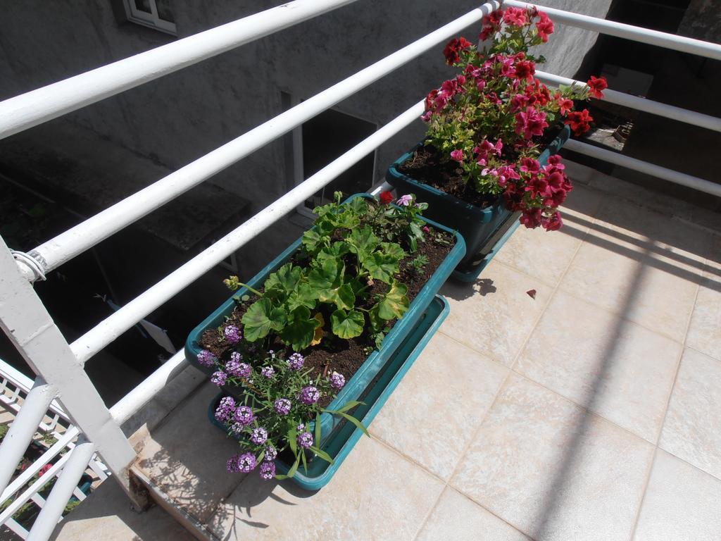 Apartmani Zeljko Vujovic Budva Exteriör bild